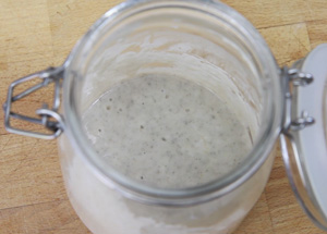 Sourdough Starter