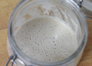 Sourdough Starter