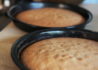 Basic Sponge Cake Recipe