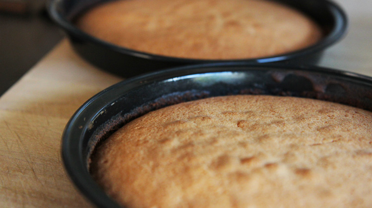 Calories in Sponge cake