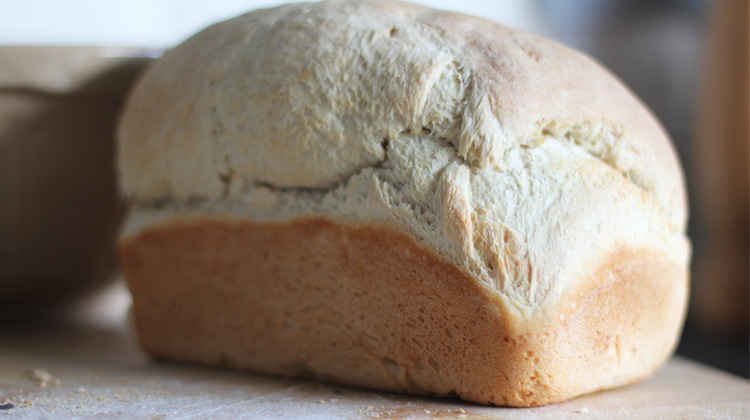 How to make a Loaf of Bread