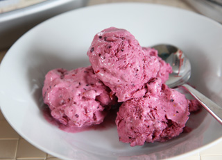 High Protein Frozen Yogurt Recipe